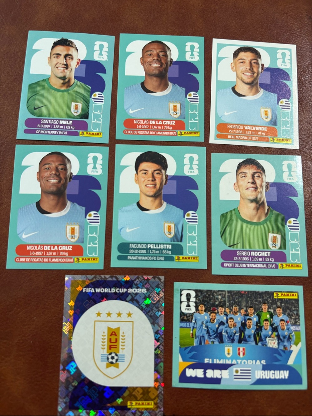 Panini Uruguay Soccer Sticker Set - Teal, Light Blue, Green